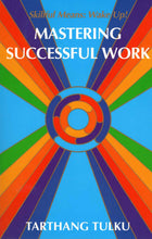 Mastering Successful Work