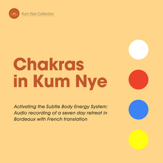 Chakras in Kum Nye - Dharma Publishing