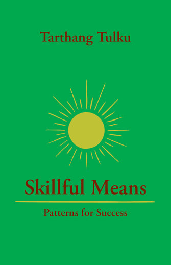Skillful Means - Patterns for Success