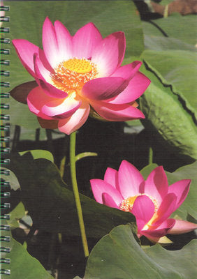Lotus - Notebook - Dharma Publishing